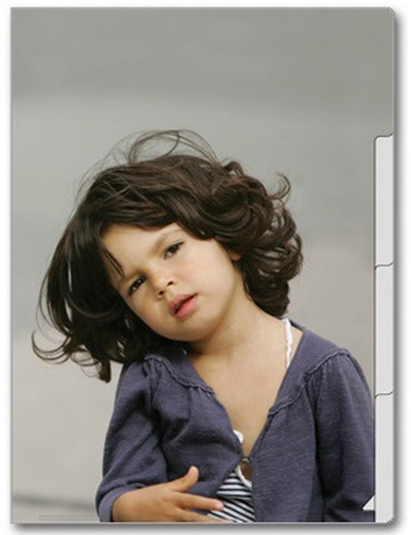 Le Petit Paris File Folder - D