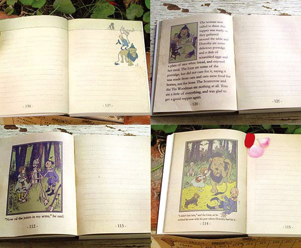 DOROTHY DIARY Vol.03